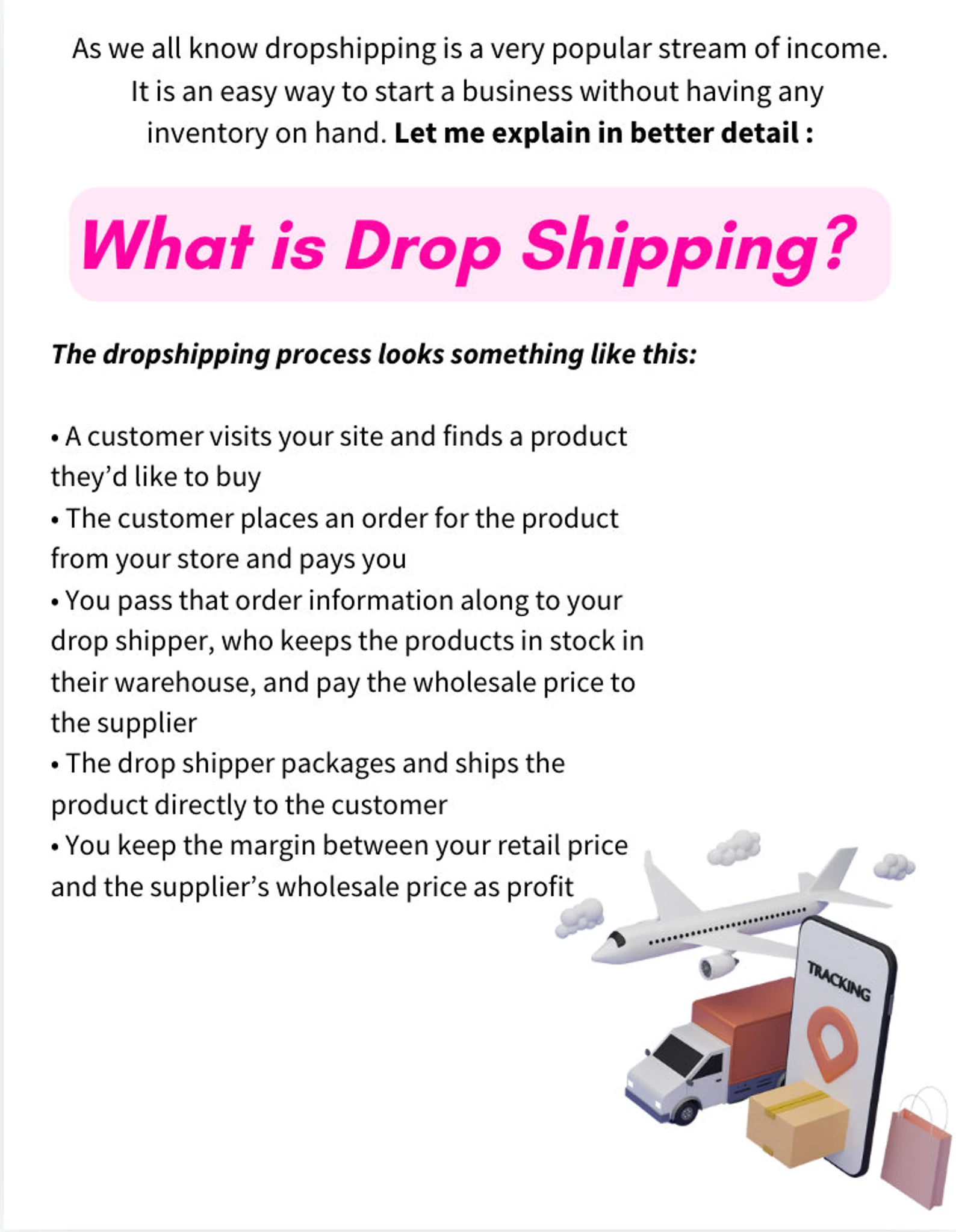 Dropshipping Business Mastery – How to Start and Grow a Profitable Store | 20-Page PLR eBook with Resell Rights - Image 4